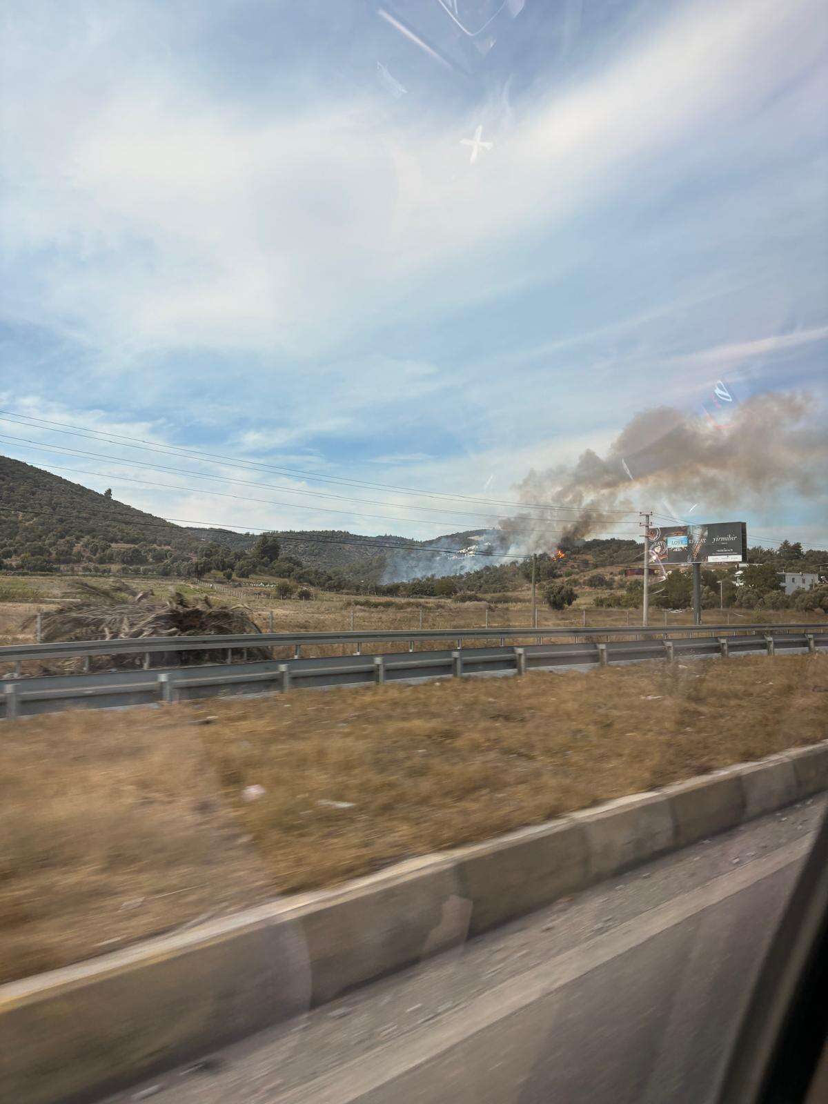 Bodrum-Milas Yolunda Zeytinlik Alanda Yangın, Ekipler Bölgeye Sevk Edildi 3